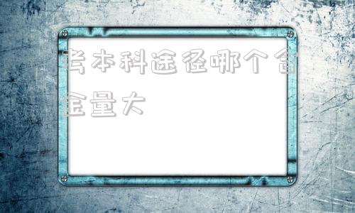 考本科途径哪个含金量大,大专生怎么考本科含金量高